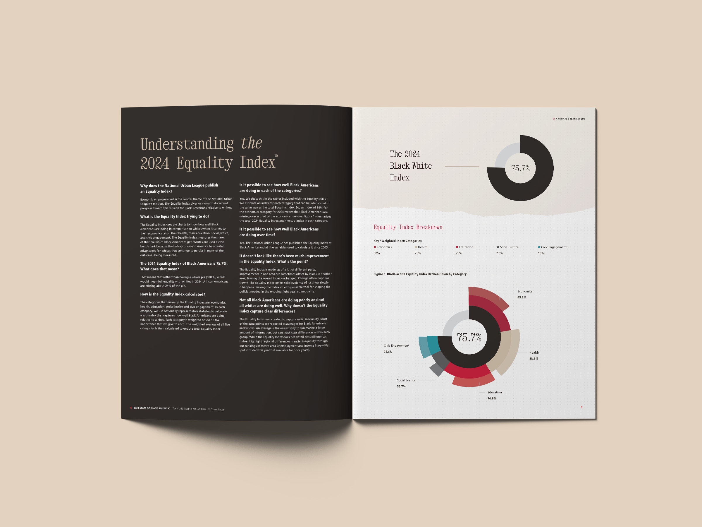 NUL 063 Exec Summary Mockup 03